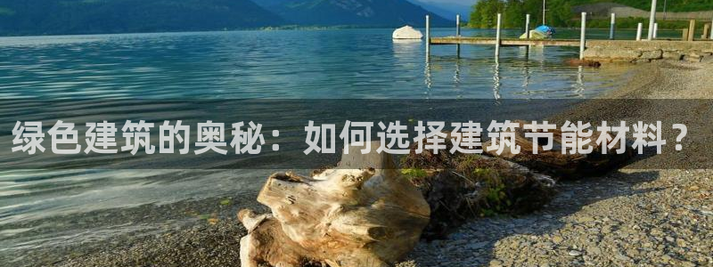 e尊国际是干什么的：绿色建筑的奥秘：如何选择建筑节能材料？