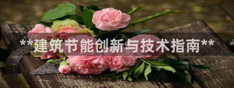 尊亿游戏国际官网：**建筑节能创新与技术指南**