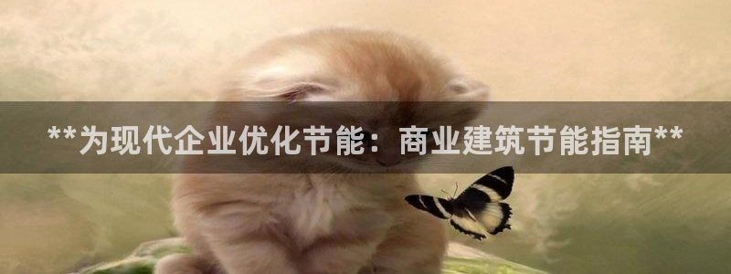 e尊国际可靠吗：**为现代企业优化节能：商业建筑节能指南**