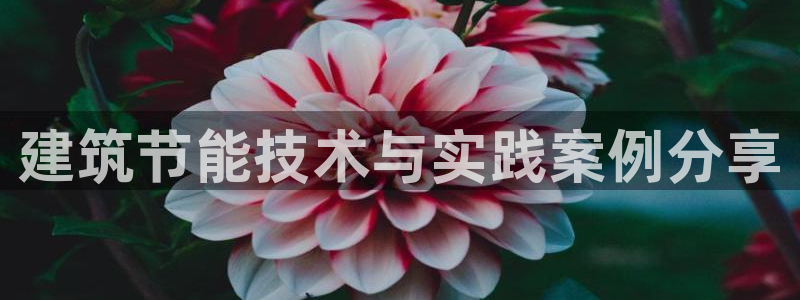 e尊体育：建筑节能技术与实践案例分享