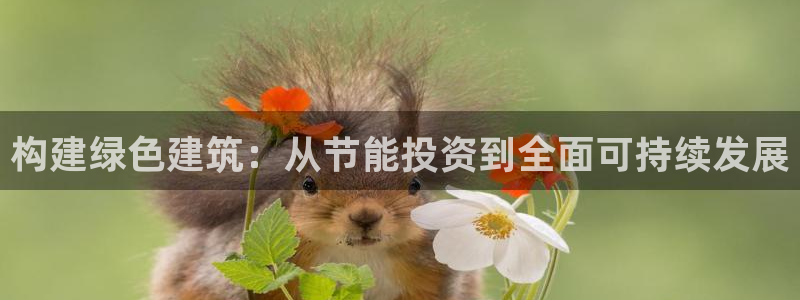 e尊国际是个黑网：构建绿色建筑：从节能投资到全面可持续发展
